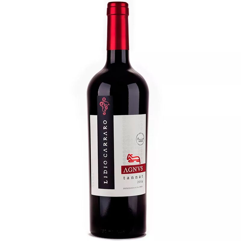 Tannat-Lidio-Carraro-Agnus-Vinho-Tinto-Nacional-VinhoSite