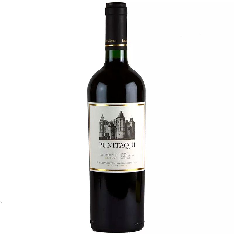 Vinhos-Chilenos-Tinto-Punitaqui-Reserva-VinhoSite
