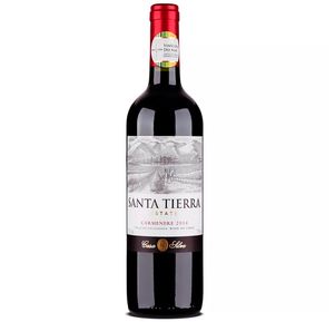 Vinho Casa Silva Santa Tierra Carménère