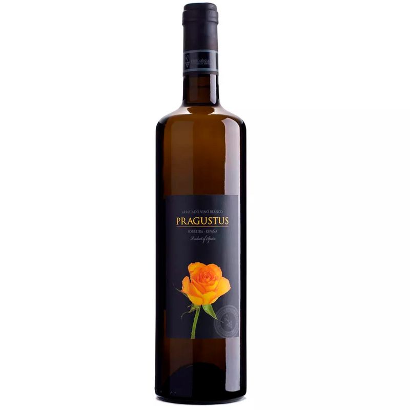 vinho-espanhol-branco-pragustus-VinhoSite