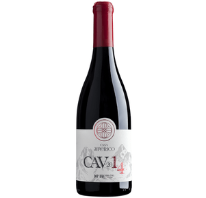 Casa Américo CAV DOP Dão 2014