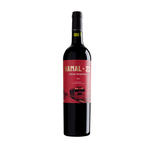 Ramal 22 Gran Reserva Merlot D.O. Valle del Maule 2023