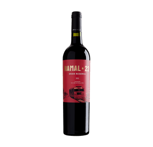 Ramal 22 Gran Reserva Carménère D.O. Valle Del Maule 2022