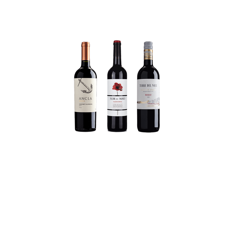 Trio---Grandes-Vinhos-N°2