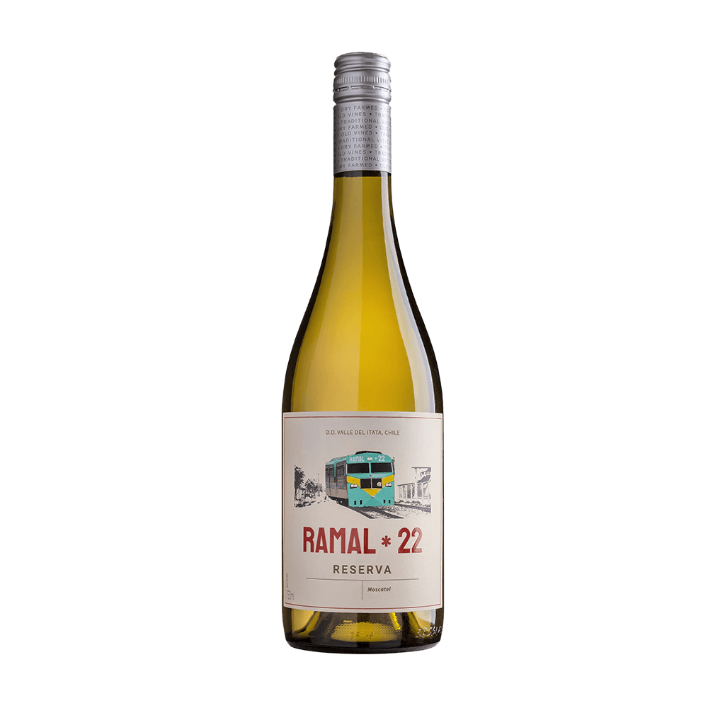 Vinho Vfc Wines Branco Suave Chile Ramal 22 Reserva Moscato 2023 750ml
