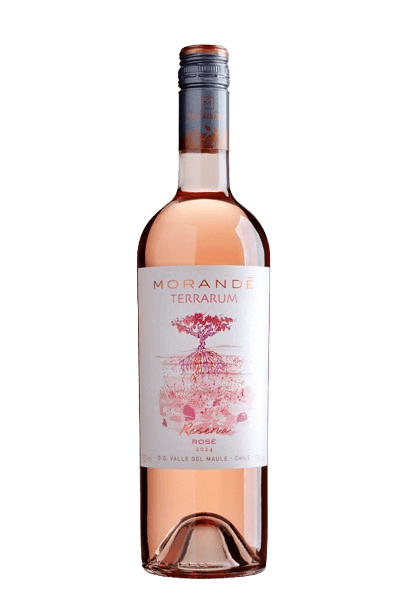 Morande-Terrarum-Reserva-Rose-Casa-Rio-Verde-Foto-Pedro-Sales-5202BX -2-